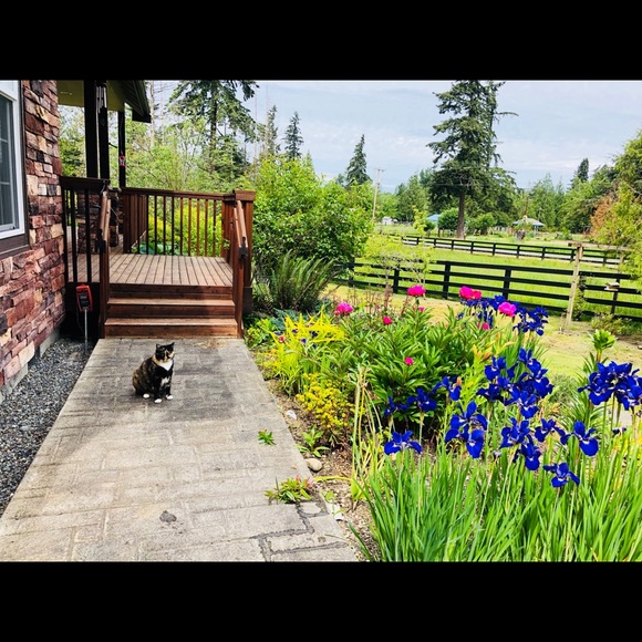 Meet your Posher, Kelly - Picture 6 of 17